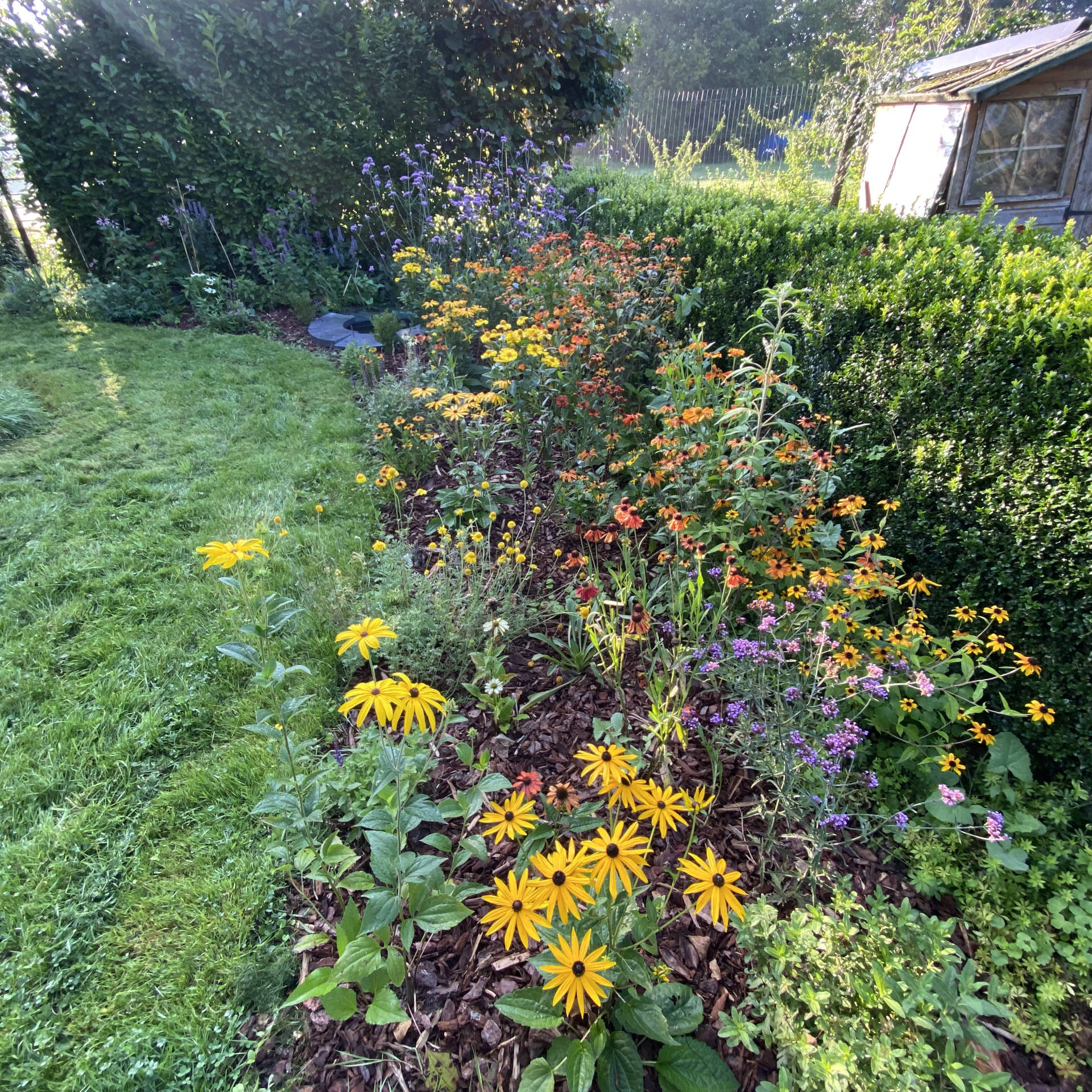 Flore – Mixed border à Naast