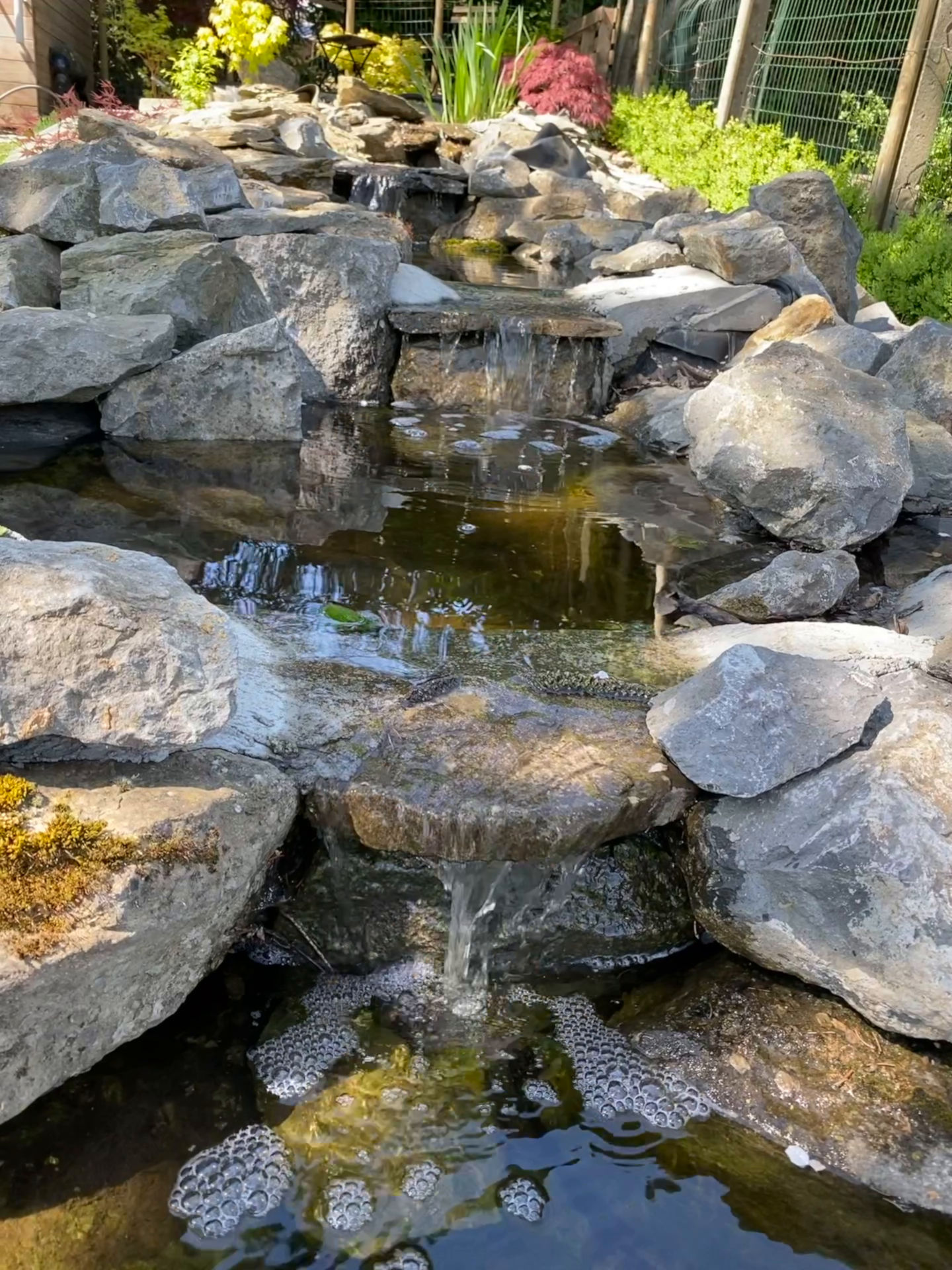 Eau – Rivière Ecaussinnes