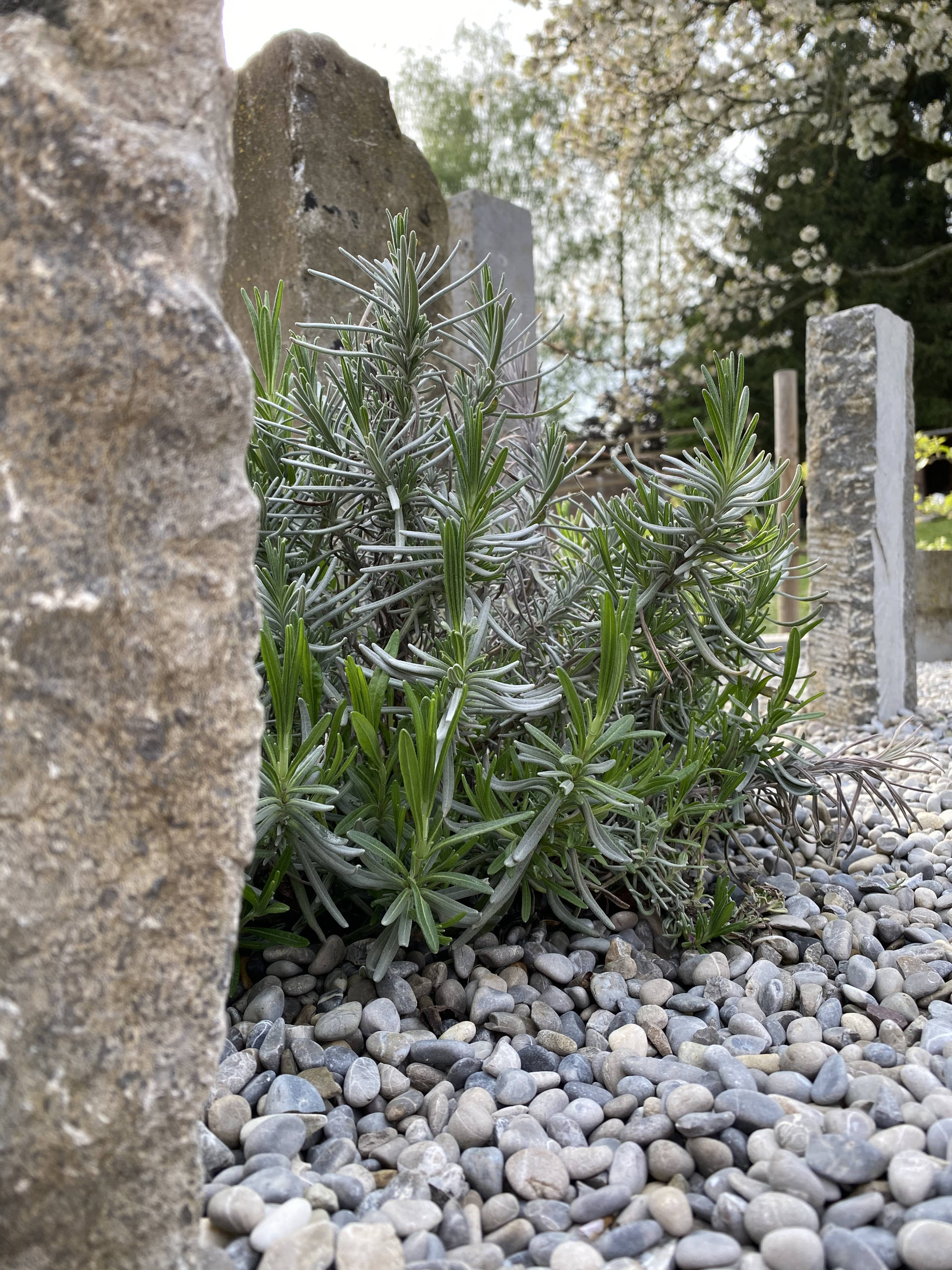 Pierre – Monolithes